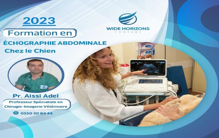 Formation wide horizons Echographie