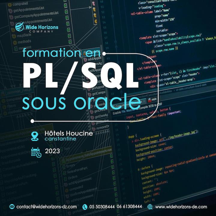 Formation PL/SQL sous Oracle